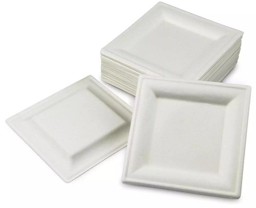 Einweg bagasse teller - bagasse, 8"