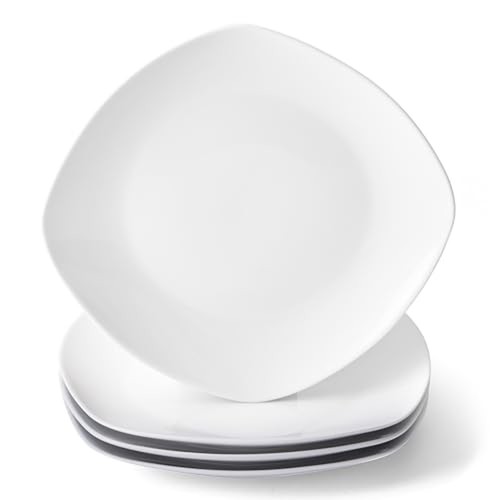 Square dinner plates set - dinner,