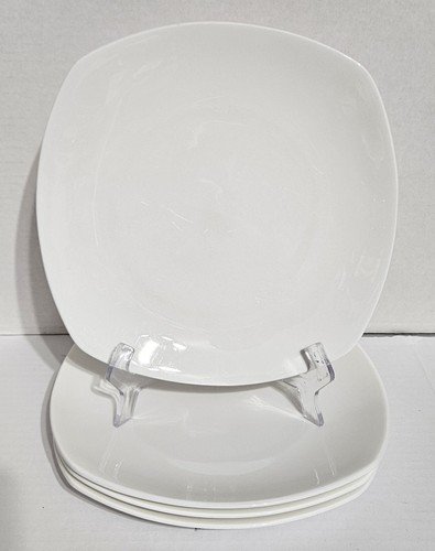 Studio quattro bone - (4),